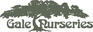 gale nurseries