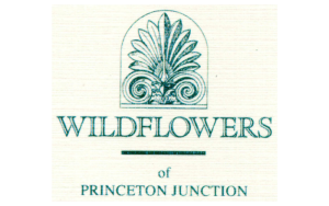 Wildflowers of Princeton Junction